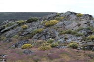 Ruta: Lagoas de Pradorramisquedo